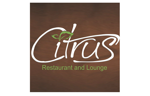 logo.png