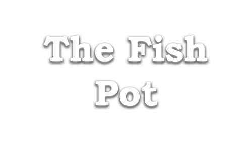 logo.png
