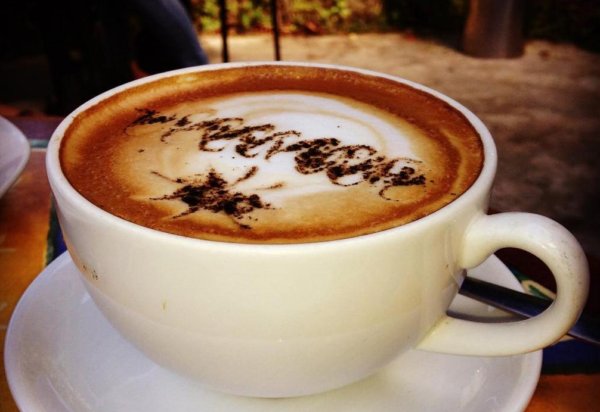 Skinny Bean Café — photograph 5