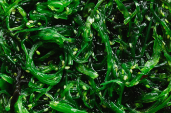 Is Sea Moss The Most Underrated Superfood?