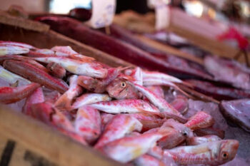 Seasonal Menu Planning: Seafood Dishes for Every Time of Year