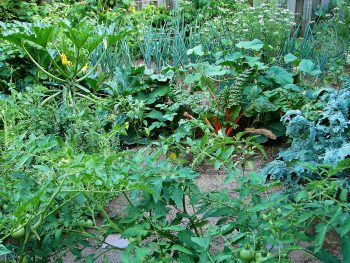 Cultivating Beauty and Bounty: The Art of Crafting an Edible Landscape