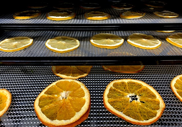 Dehydration 101: A Beginner’s Guide to Preserving Food