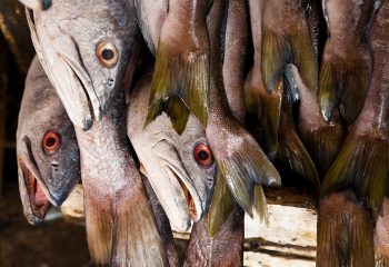 Eaton Street Seafood Market: Key West’s Casual Culinary Treasure