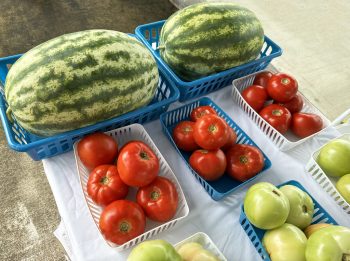 Exploring the Dutch Country Farmers Market Experience