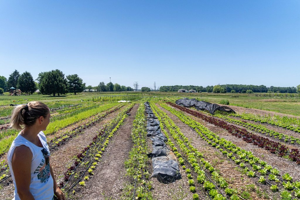 Teter Organic Farm and Retreat Center (52490807311)