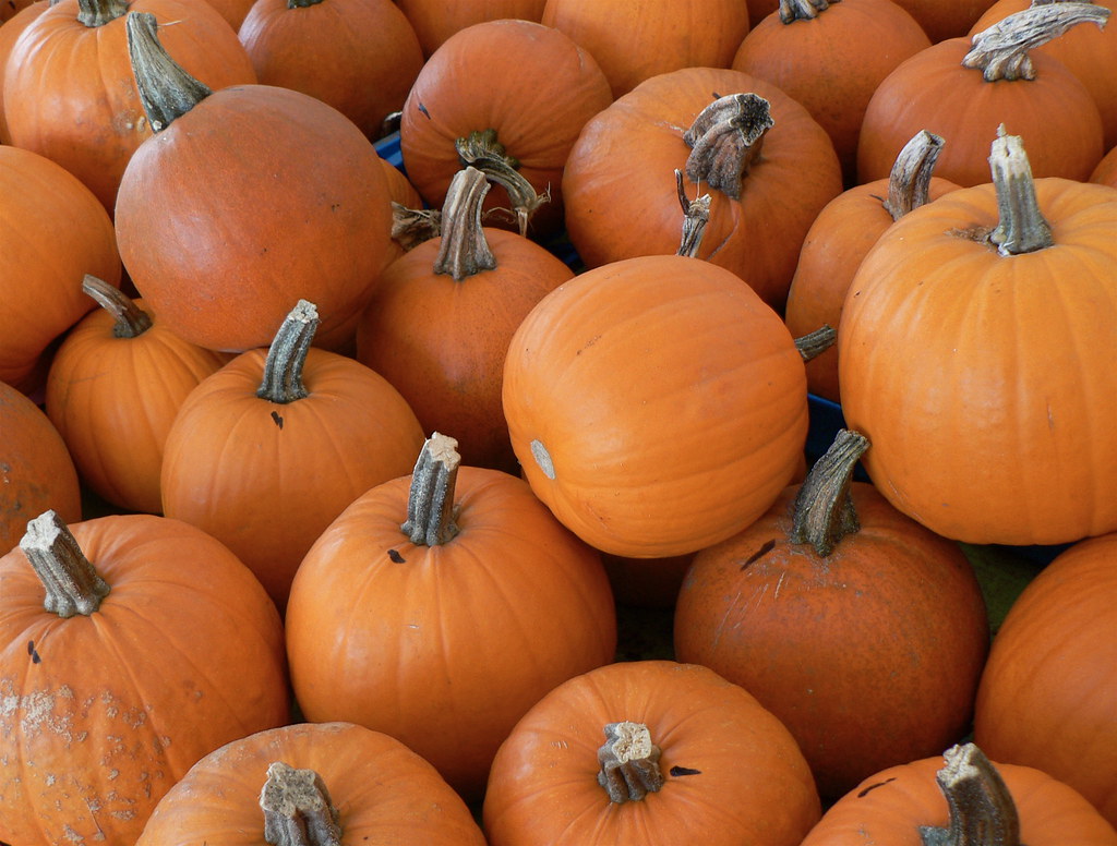 Small sugar pumpkins stacked at a farmers market