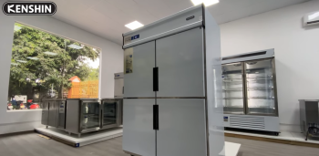 Refrigerator vs Cooler: Key Differences, Uses & Which One to Choose