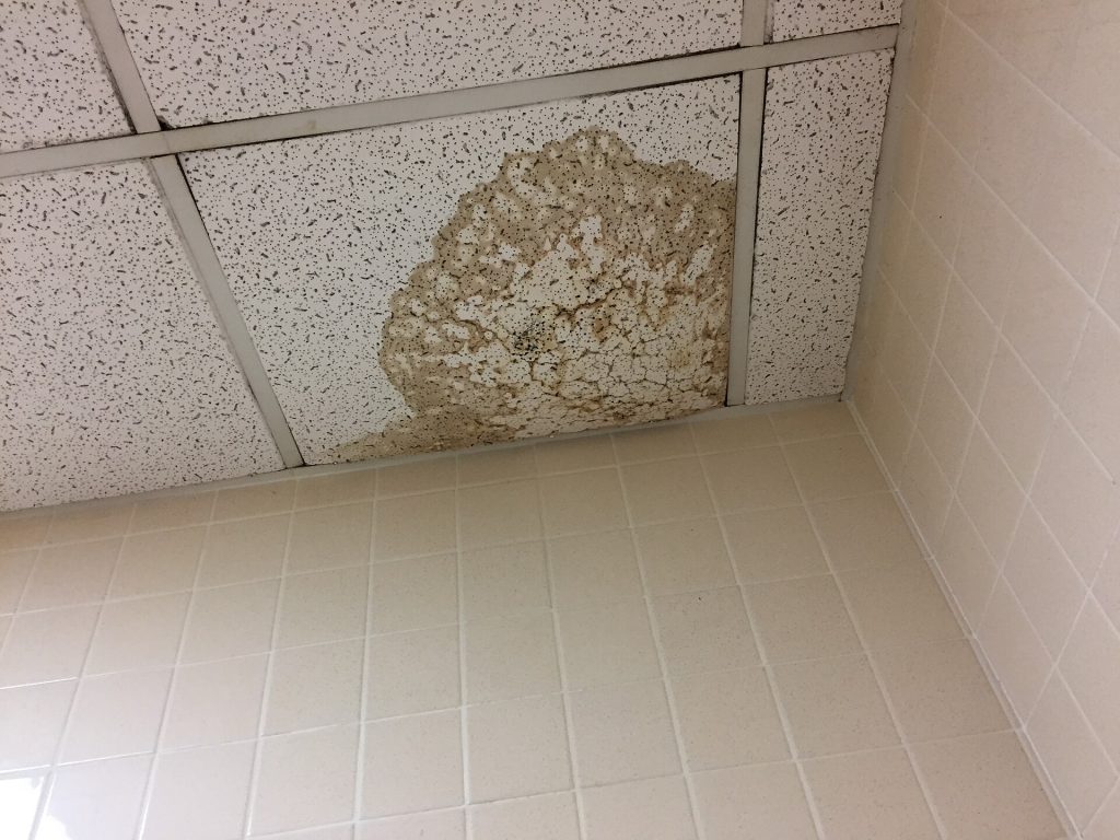 Ceiling water damage