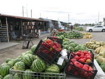Seasonal Cooking: Making the Most of Fresh, Local Produce