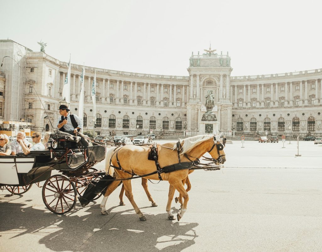 The Must-Try Restaurants in Vienna
