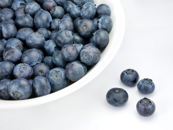 Unlocking the Power of Freeze-Dried Wild Blueberry Powder: A Superfood for Every Kitchen