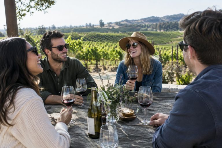 Vineyard rows near Healdsburg, California, on a wine tasting day